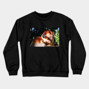 Cuddles Crewneck Sweatshirt